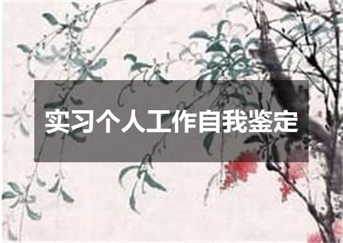 实习个人工作自我鉴定