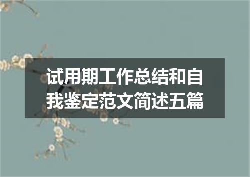 试用期工作总结和自我鉴定范文简述五篇