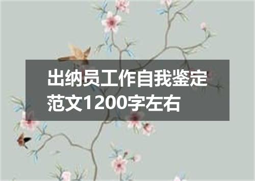 出纳员工作自我鉴定范文1200字左右