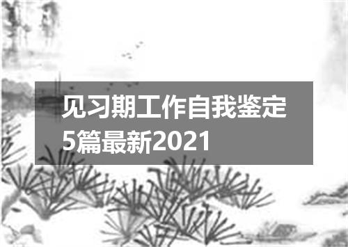 见习期工作自我鉴定5篇最新2021