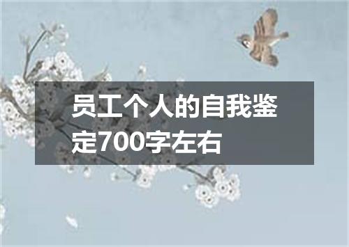 员工个人的自我鉴定700字左右