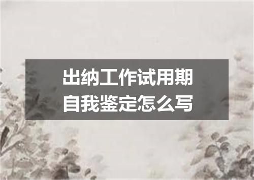 出纳工作试用期自我鉴定怎么写