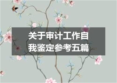 关于审计工作自我鉴定参考五篇