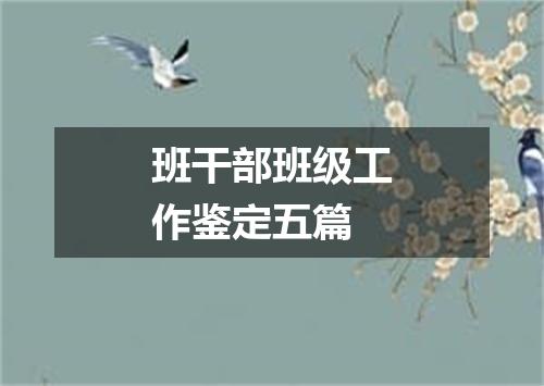 班干部班级工作鉴定五篇