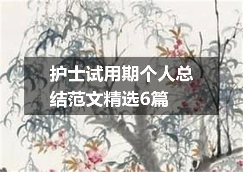 护士试用期个人总结范文精选6篇