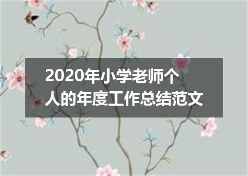 2020年小学老师个人的年度工作总结范文