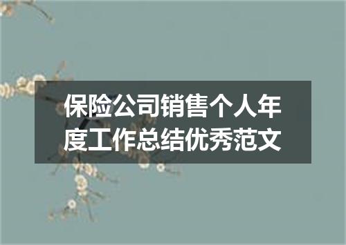 保险公司销售个人年度工作总结优秀范文