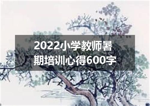 2022小学教师暑期培训心得600字