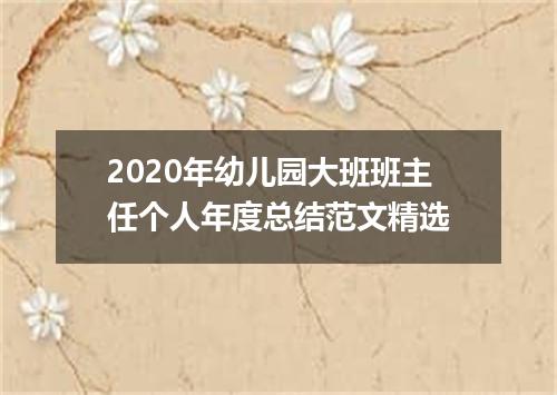 2020年幼儿园大班班主任个人年度总结范文精选