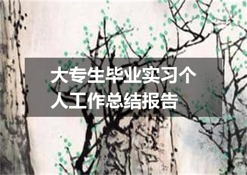 大专生毕业实习个人工作总结报告