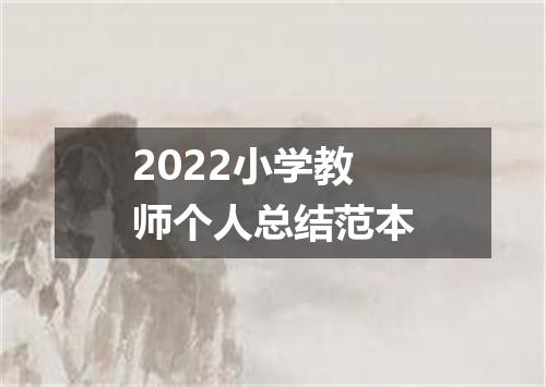 2022小学教师个人总结范本
