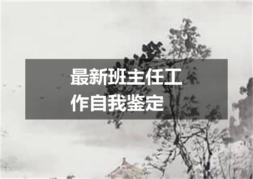 最新班主任工作自我鉴定