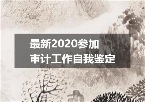 最新2020参加审计工作自我鉴定