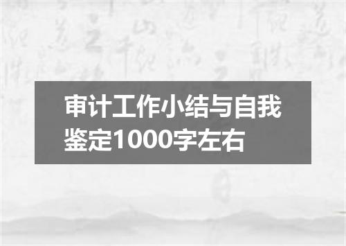 审计工作小结与自我鉴定1000字左右