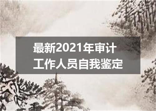 最新2021年审计工作人员自我鉴定