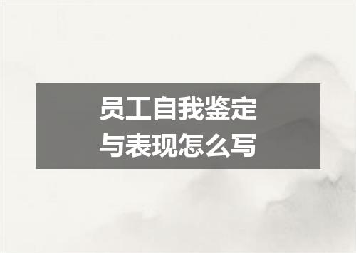 员工自我鉴定与表现怎么写