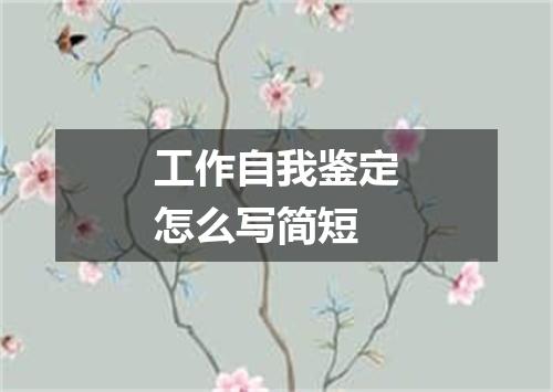 工作自我鉴定怎么写简短