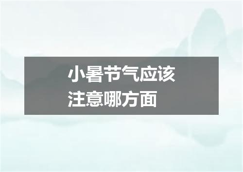 小暑节气应该注意哪方面