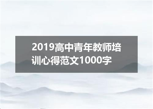 2019高中青年教师培训心得范文1000字