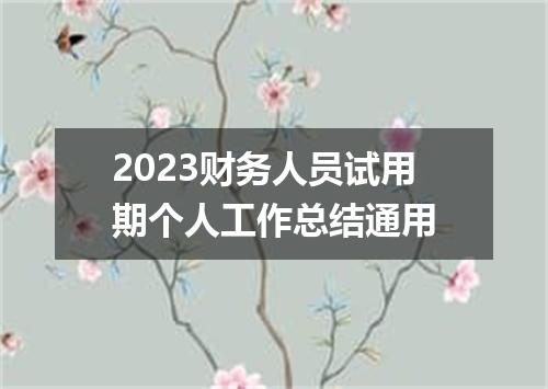 2023财务人员试用期个人工作总结通用