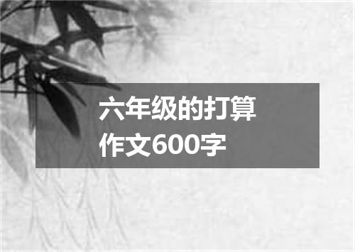 六年级的打算作文600字
