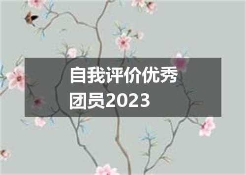 自我评价优秀团员2023