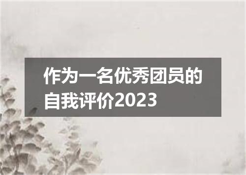 作为一名优秀团员的自我评价2023