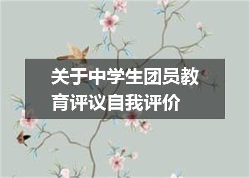 关于中学生团员教育评议自我评价