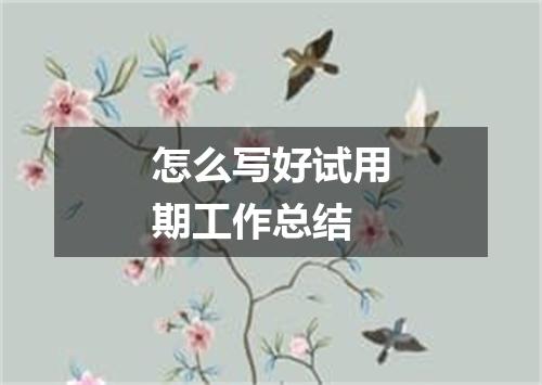怎么写好试用期工作总结