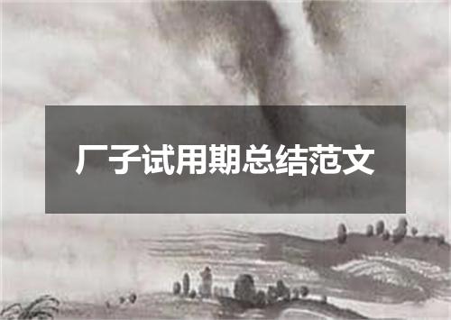 厂子试用期总结范文