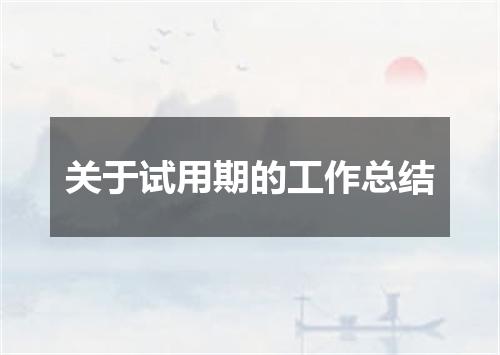 关于试用期的工作总结
