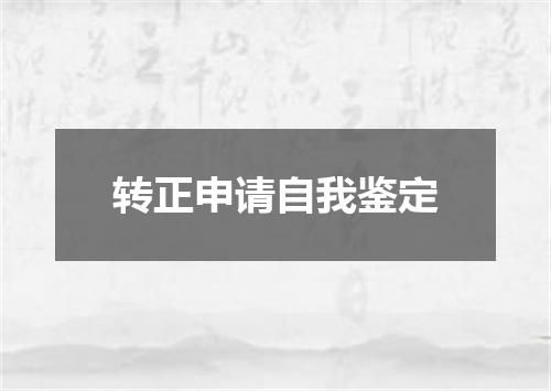 转正申请自我鉴定