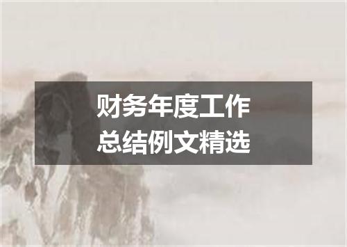 财务年度工作总结例文精选