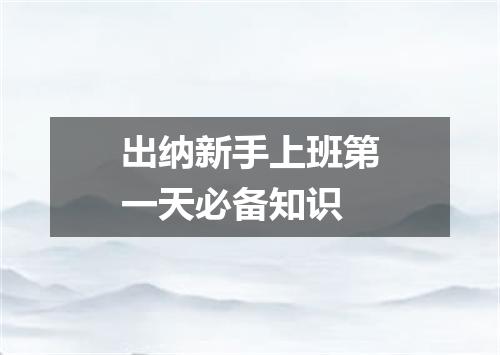 出纳新手上班第一天必备知识
