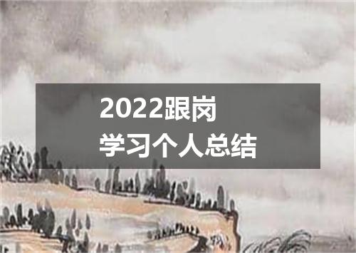 2022跟岗学习个人总结