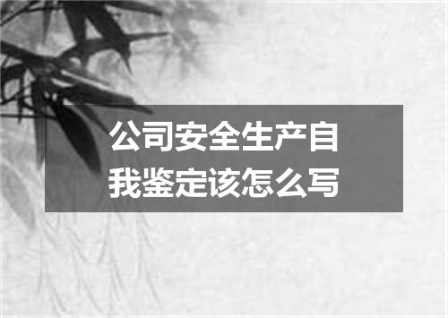 公司安全生产自我鉴定该怎么写