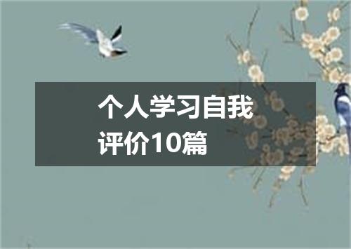 个人学习自我评价10篇