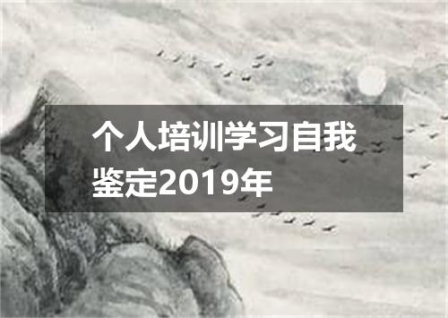 个人培训学习自我鉴定2019年