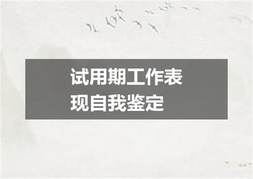 试用期工作表现自我鉴定