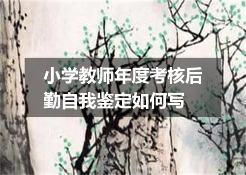 小学教师年度考核后勤自我鉴定如何写