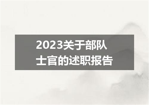 2023关于部队士官的述职报告