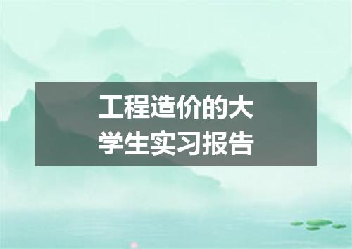 工程造价的大学生实习报告