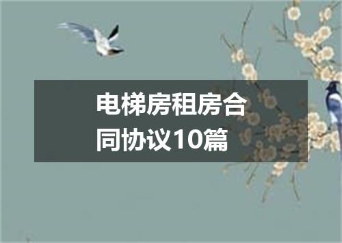 电梯房租房合同协议10篇
