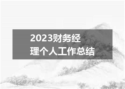 2023财务经理个人工作总结