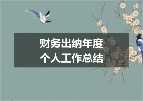财务出纳年度个人工作总结