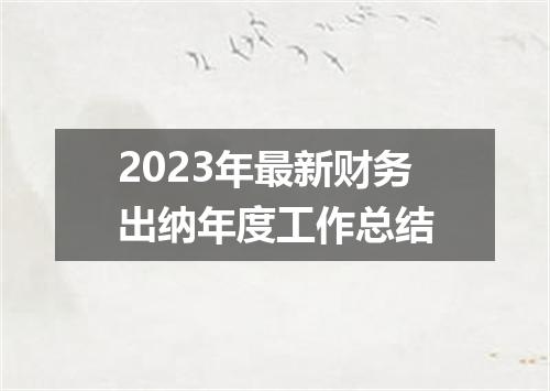 2023年最新财务出纳年度工作总结
