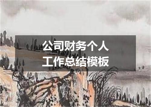 公司财务个人工作总结模板