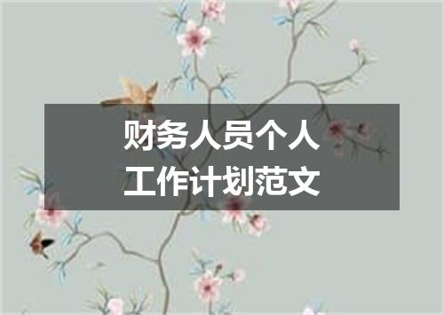 财务人员个人工作计划范文