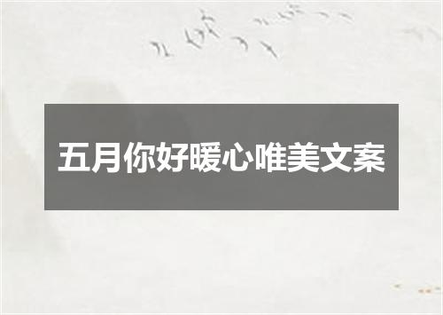 五月你好暖心唯美文案