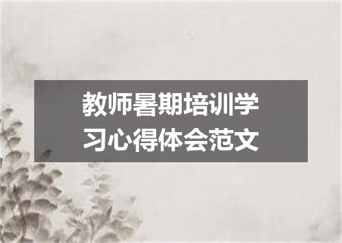 教师暑期培训学习心得体会范文